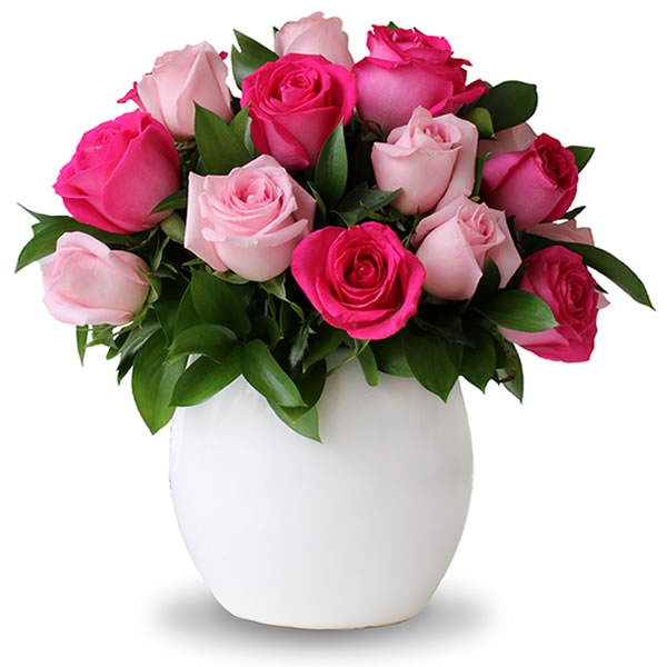 Bowl con 24 rosas fiusha y rosas rosa 2537