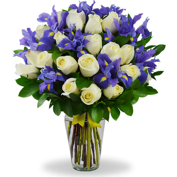 Florero con iris y 24 rosas blanca 2547