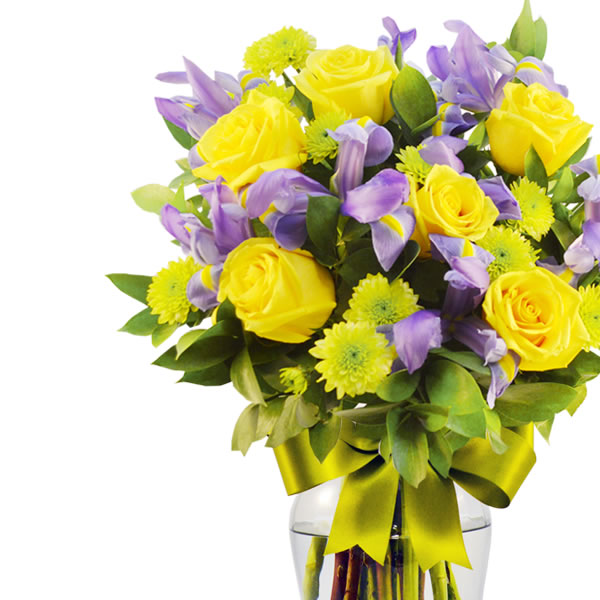 Rosas amarillas con iris morados en jarron  2559
