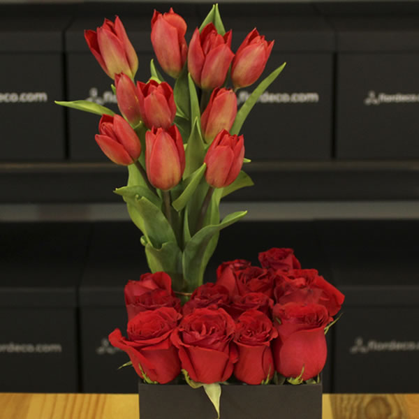 Caja tulipanes y rosa roja 2618