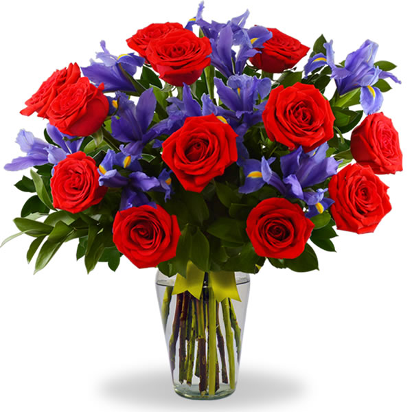 Florero con iris y 12 rosas rojas 2621
