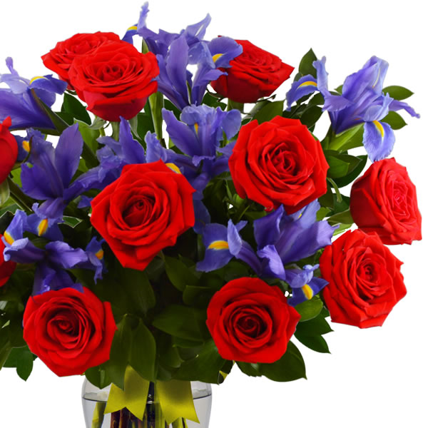 Iris morados en jarron y docena de rosas rojas 2622