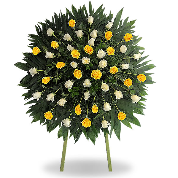 Corona con 50 rosas combinadas amarillas y blanco 2655