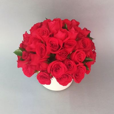 50 Rosas rojas en bowl 3285