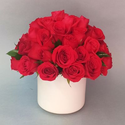 50 Rosas rojas en bowl 3284