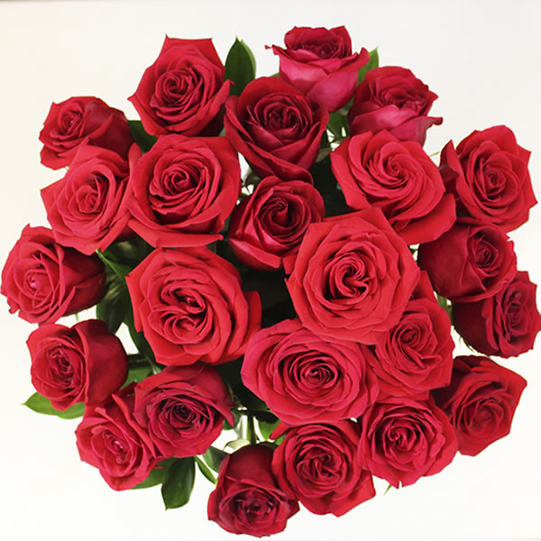 Florero negro con 2 docenas de rosas rojas 2755