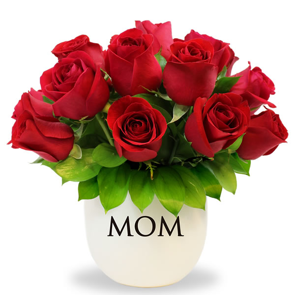 Bowl con 12 rosas rojas MOM 2838