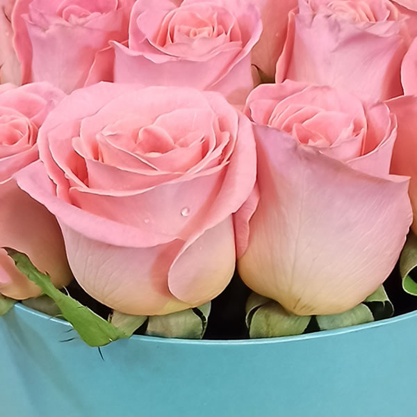 Caja Tiffany con 2 docenas de rosas rosita 2872
