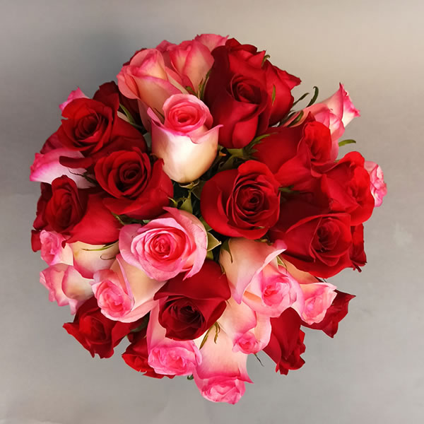 Rosas rojas y rosa en florero con mensaje 3074