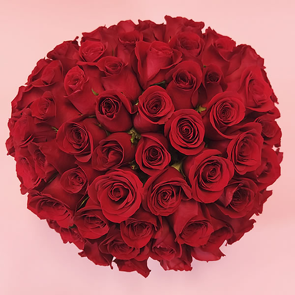 Rosas rojas 100 piezas en base 3088