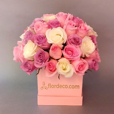 Sweet box roses 3235