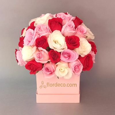 Box roses 3237