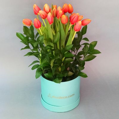Tiffany box tulips 3266