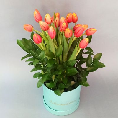 Tulipanes en caja Tiffany 3267