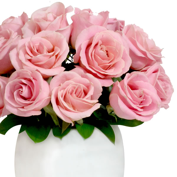 Arreglo en Bowl con 24 rosas rosa 2536