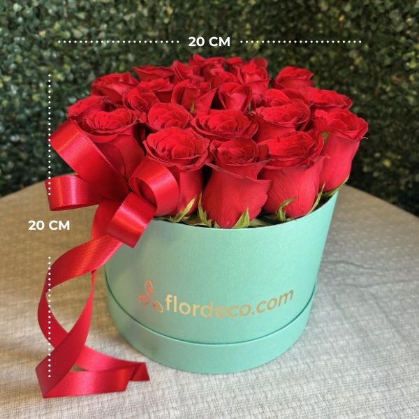 rosasrojasencajaaqua 3985