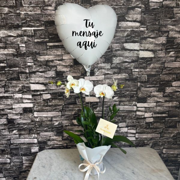 Phalenopsis orquidea en planta y globo personalizado 3720