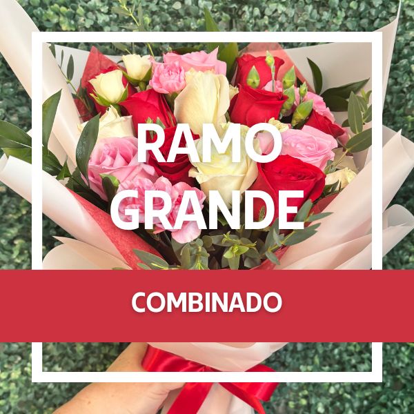 Ramo grande combinado 3895